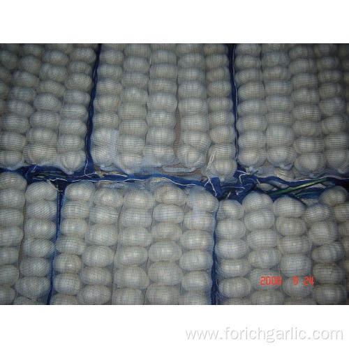 Large Bag Pure White Garlic Packed 500g bag